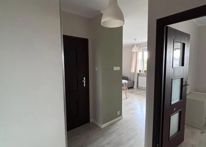 Oliwkowy Hennela * Warsaw