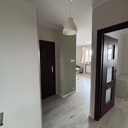 Oliwkowy Hennela * 바르샤바